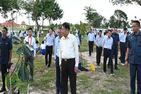 The Role of Tree Management in Environmental Conservation