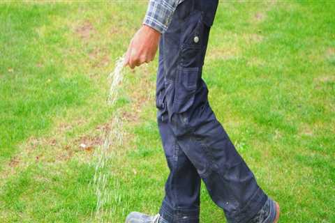 Signs Your Lawn Needs Fertilization: A Homeowner's Guide