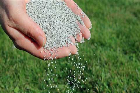 Understanding Key Nutrients in Lawn Fertilizers for Optimal Lawn Health