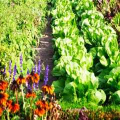 The Benefits of Organic Gardening Practices for Effective Garden Maintenance