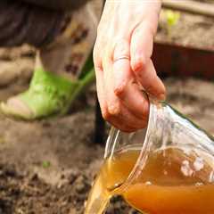 Choosing the Right Fertilizer for Your Vegetable Garden: A Guide to Effective Garden Maintenance