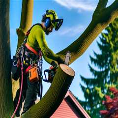 Effective Methods for Disposing of Removed Tree Branches