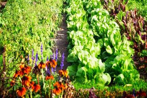 The Benefits of Organic Gardening Practices for Effective Garden Maintenance