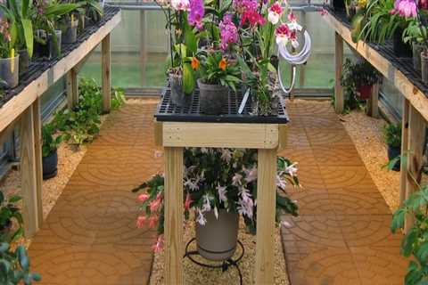 Orchid Gardening for Small Spaces with Smart Equipment Planning