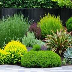 Enhancing Your Ornamental Garden with Diverse Textures