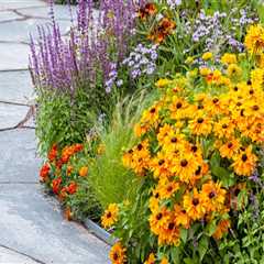 Mastering Proportion in Ornamental Gardening: A Guide to Aesthetic Balance