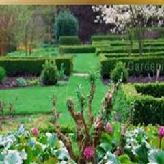 Creating Harmony in Your Ornamental Garden: Tips and Techniques