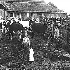 The Evolution of Dairy Farming: A Historical Perspective