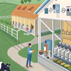 The Role of Dairy Farming in Shaping Rural Communities