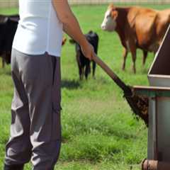 Effective Waste Management Strategies in Animal Husbandry