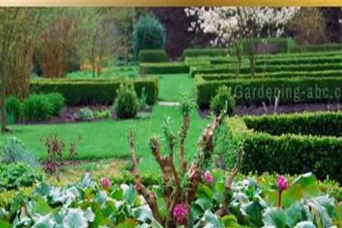 Creating Harmony in Your Ornamental Garden: Tips and Techniques