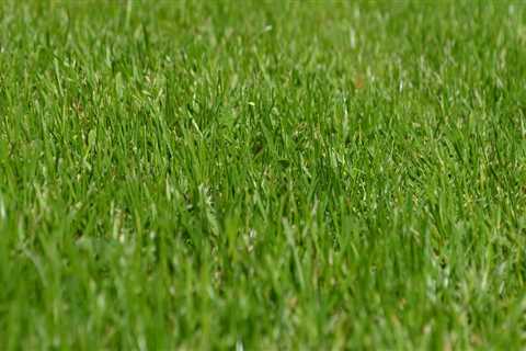 Enhance Your Lawn's Health with Core Aeration and Fertilization