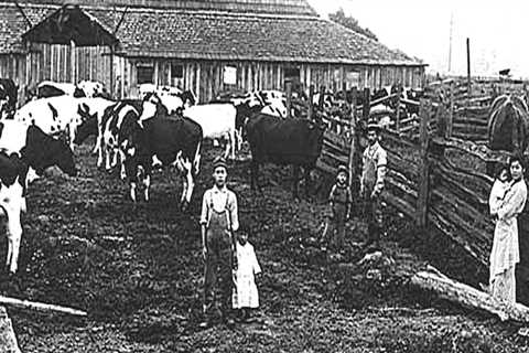 The Evolution of Dairy Farming: A Historical Perspective
