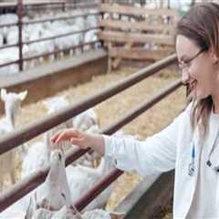 Identifying and Treating Parasites in Livestock: A Guide to Ensuring Livestock Health