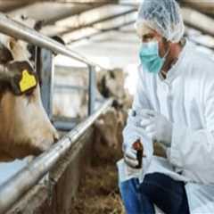 Effective Strategies for Preventing and Controlling Metabolic Disorders in Livestock