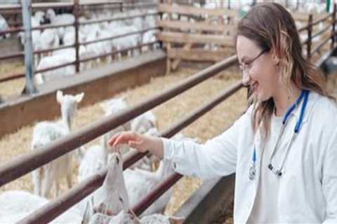 Identifying and Treating Parasites in Livestock: A Guide to Ensuring Livestock Health