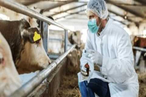 Effective Strategies for Preventing and Controlling Metabolic Disorders in Livestock